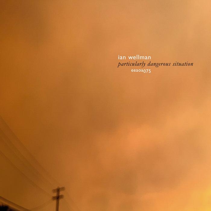 Particularly Dangerous Situation - Ian Wellman