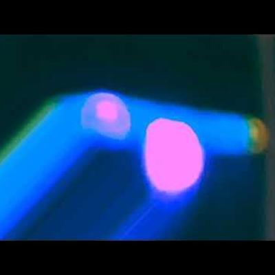 Lost Boy - Myga