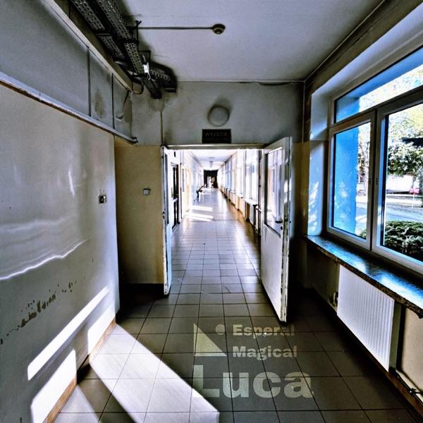 Luca - Single - Esperal Magical