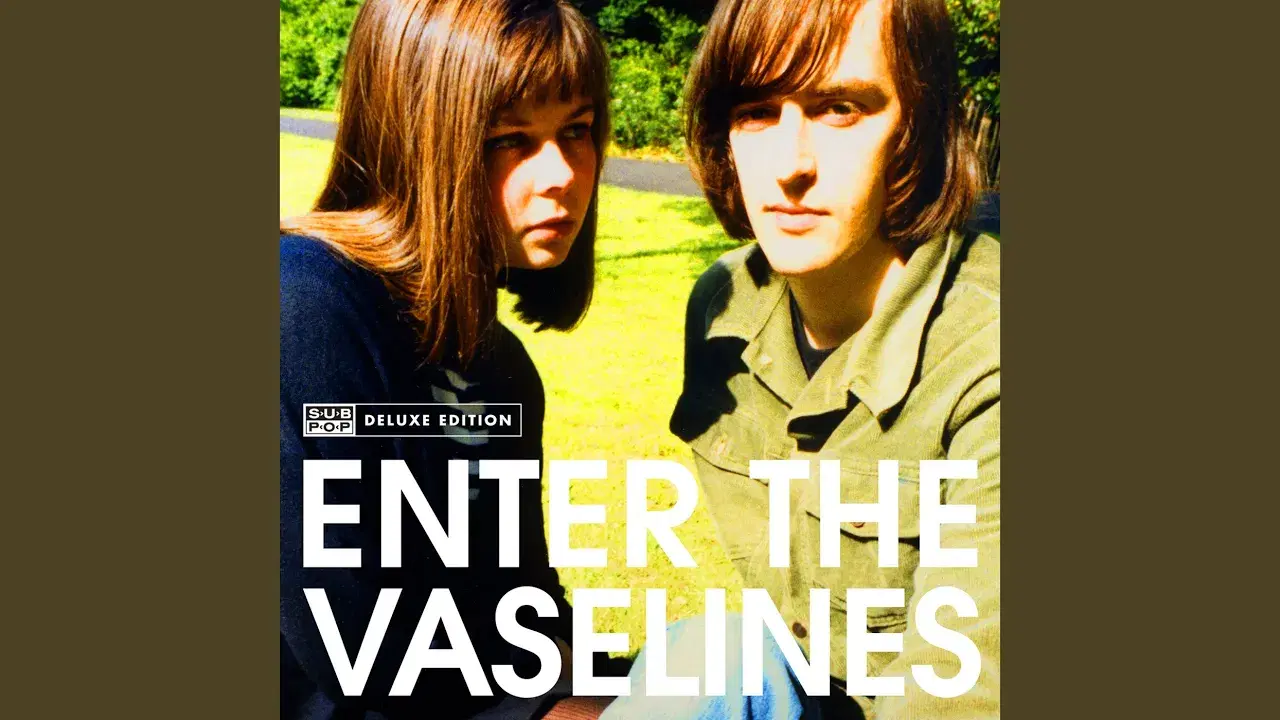 Son of a Gun - The Vaselines