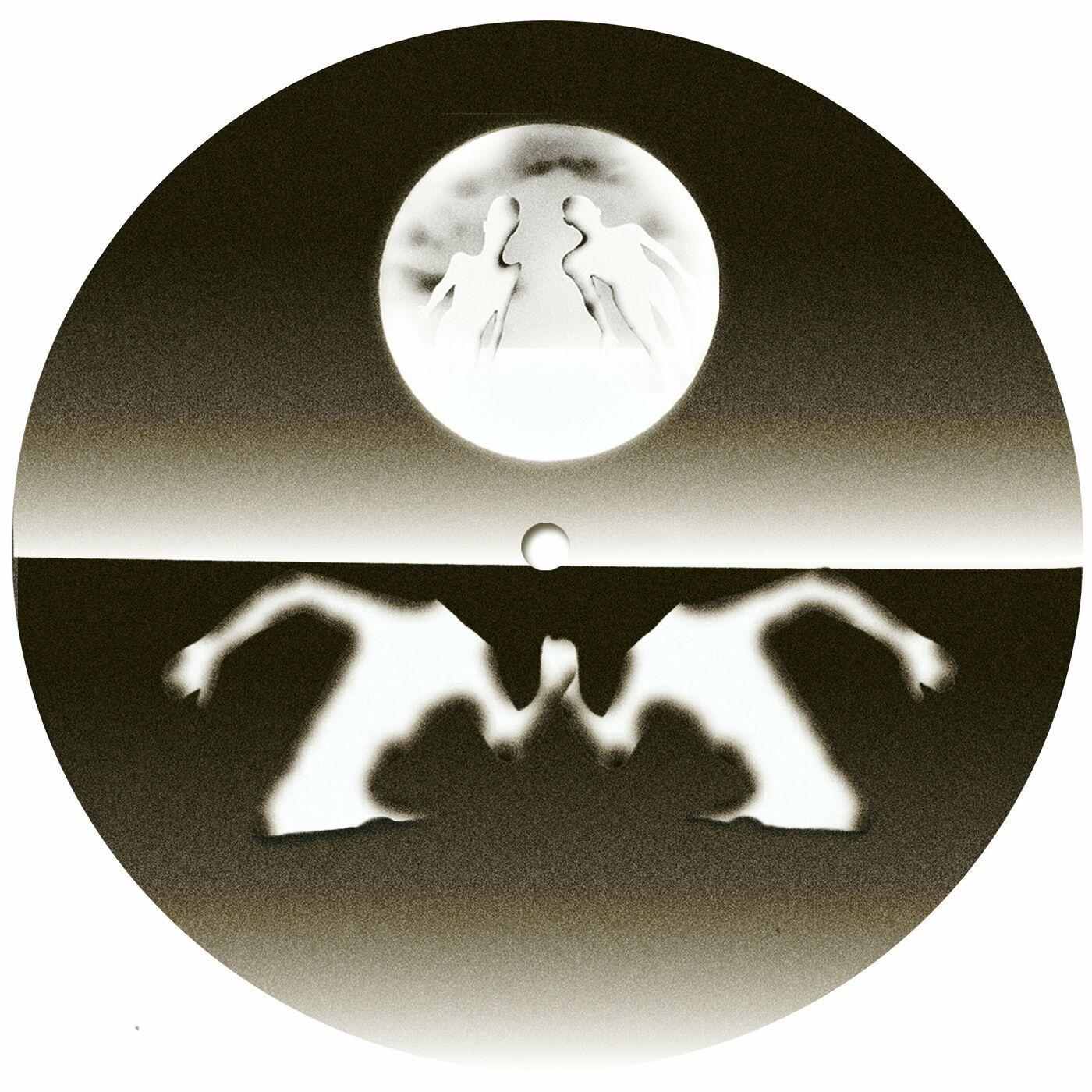 Flip To Raw - Torn Hawk
