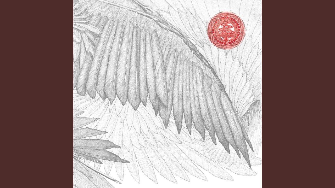 Angels & Devils - The Bug