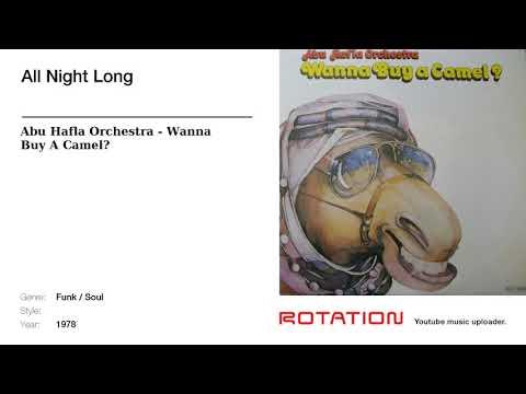All Night Long - Abu Hafla Orchestra