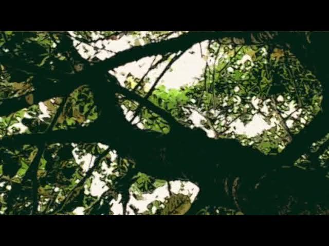 Nine Tales of the Winds - Laurent Pernice / Jacques Barberi / Dominique Beven