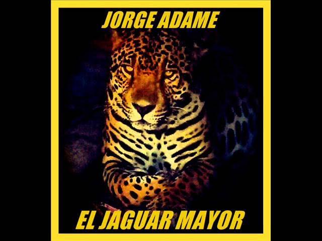  - Los Jaguar De Valle Hermoso