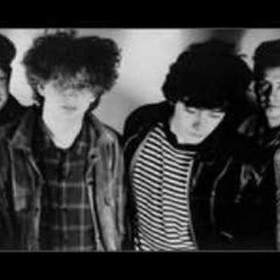 Melt Like Ice 7'' - The Wild Flowers