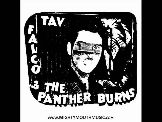 Rockabilly Psychosis and the Garage Disease - Tav Falco Panther Burns