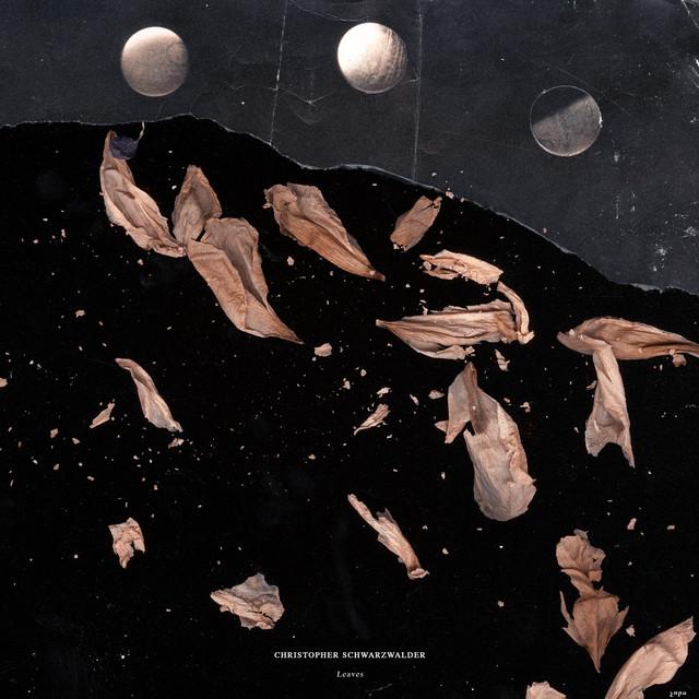 Leaves - Christopher Schwarzwälder