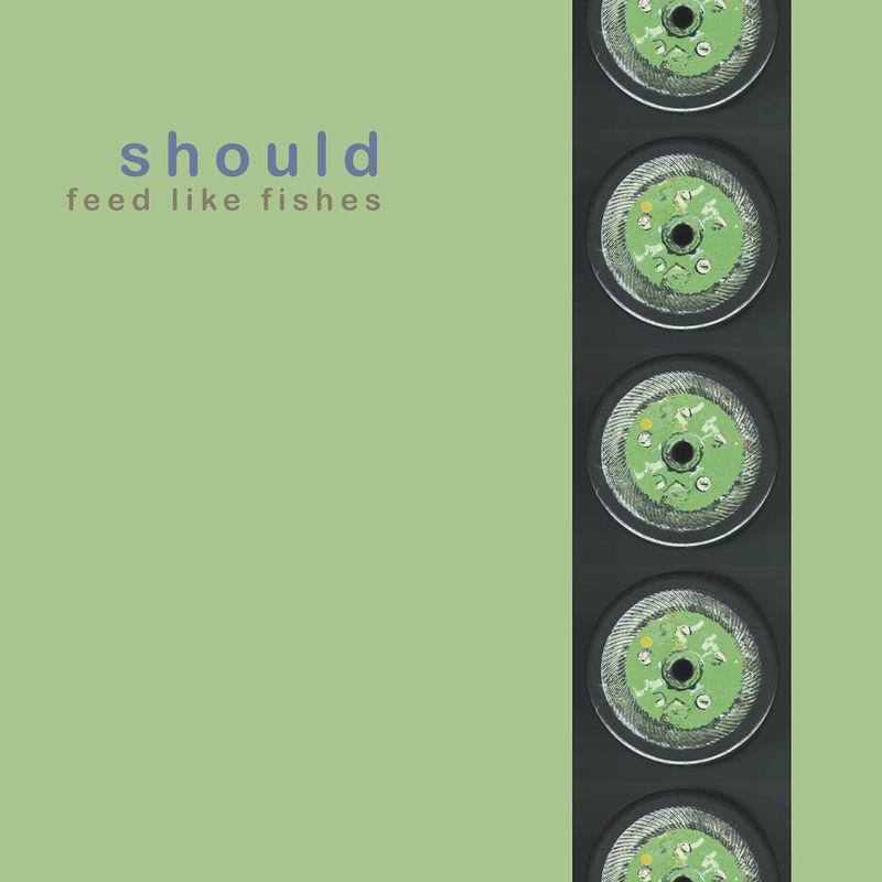 Feed Like Fishes - Should