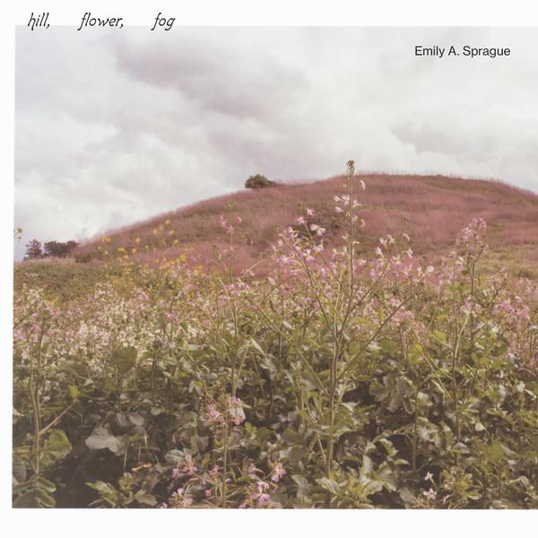 Hill, Flower, Fog - Emily A. Sprague