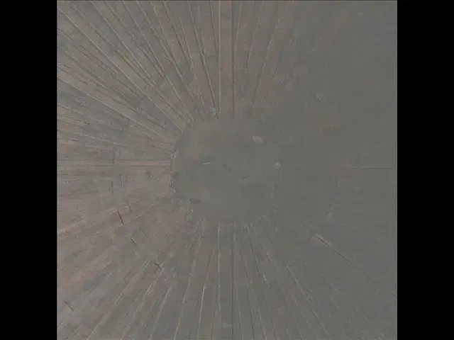 Selva Oscura - William Basinski + Lawrence English