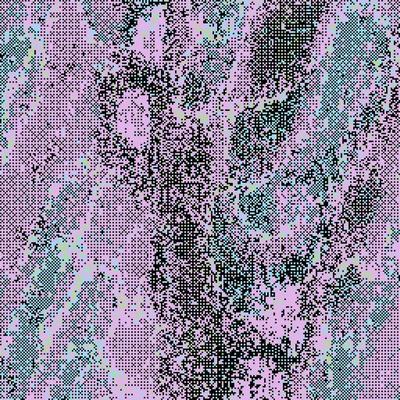 beta cut - yalk DX