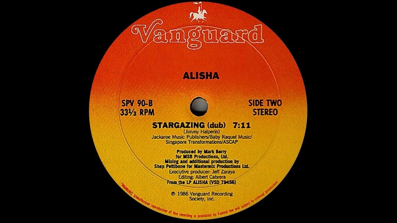 Big 12 Inches Vol. 5: 48 Wicked Mixes To Keep You Moving (1994) - Alisha