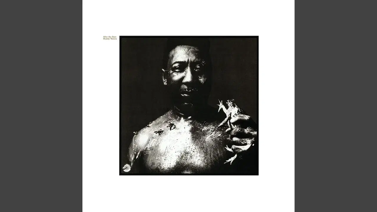 After The Rain - Muddy Waters