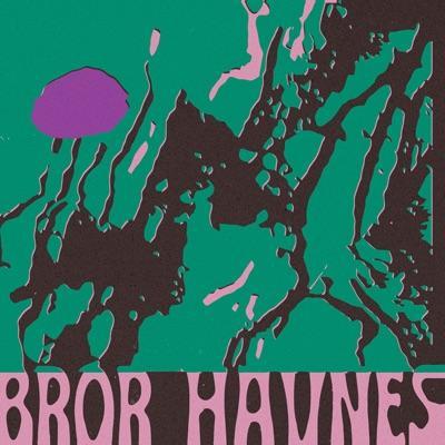 - Bror Havnes