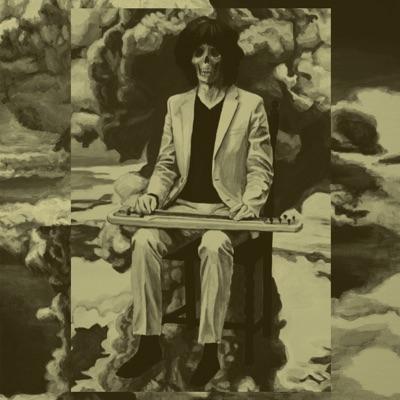 ナマで踊ろう - 坂本慎太郎