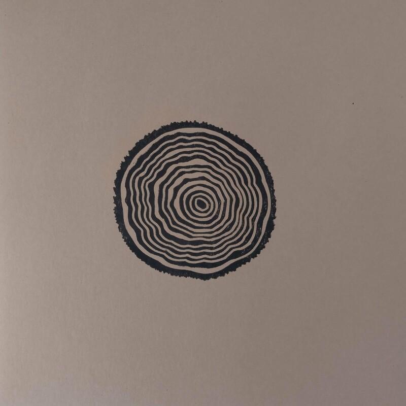 Rosewood Untitled - Ekin Fil