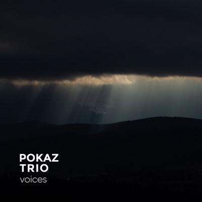 Voices - Pokaz Trio