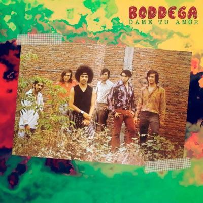  - Boddega