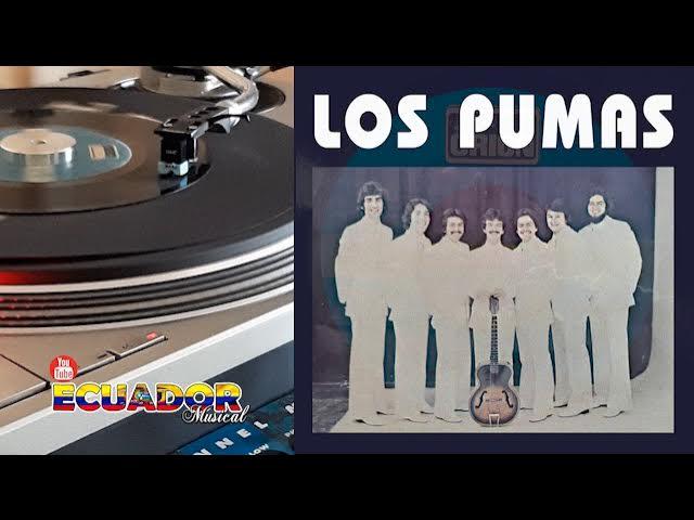  - Los Pumas