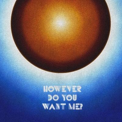 However Do U Want Me? - LIQUID PEGASUS