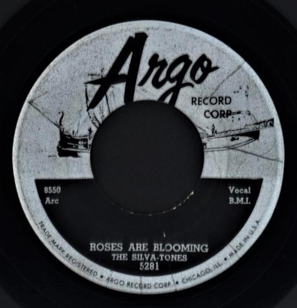 Windy City Bop (Chicago Rockabilly 1945-1958) - The Silva-Tones