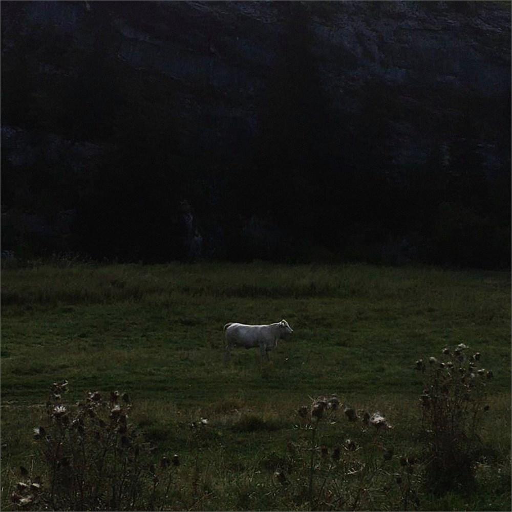 Limitless Frame - Ulla