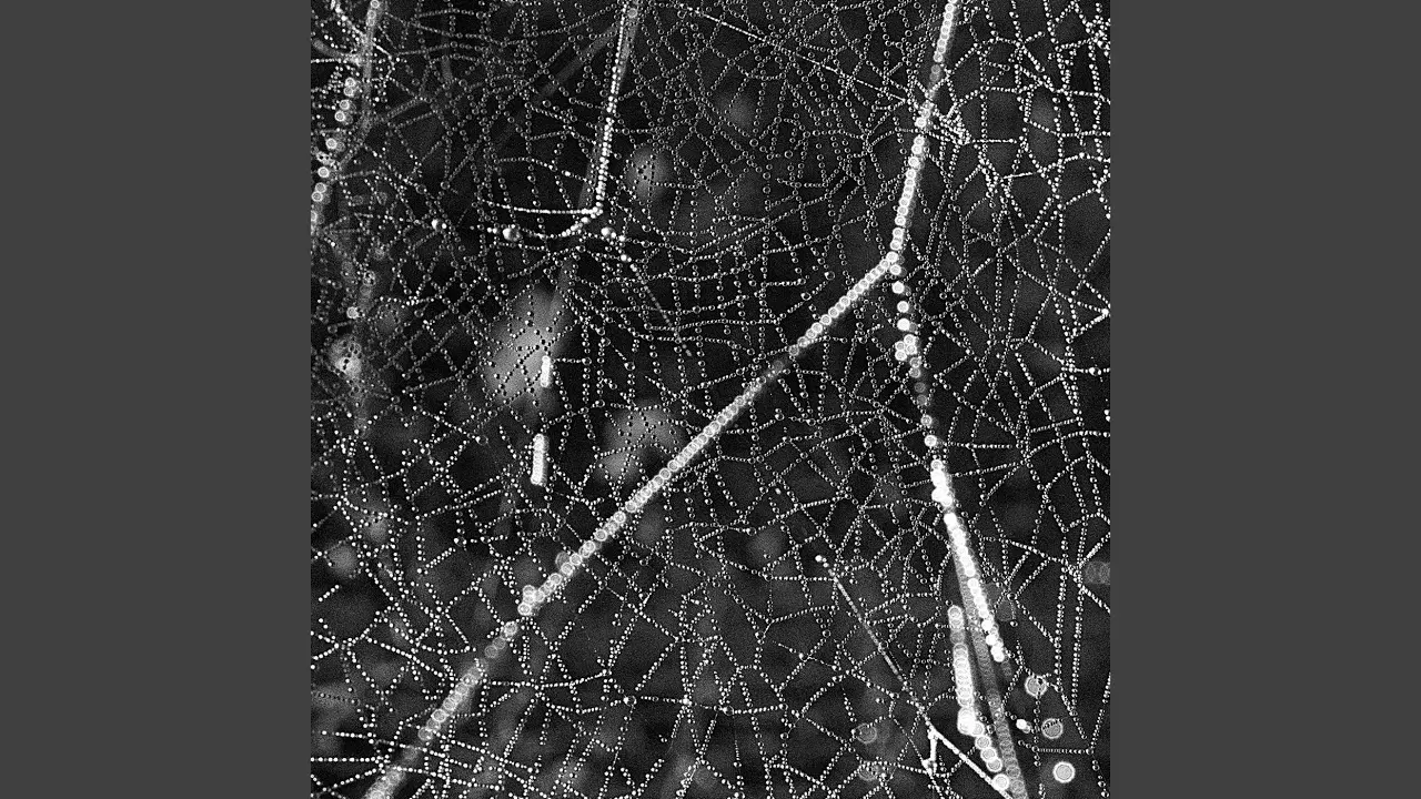 Crinkle - RS Tangent