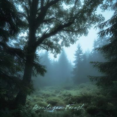 MONTAGEM FOREST - Tsk.4 & EMERA