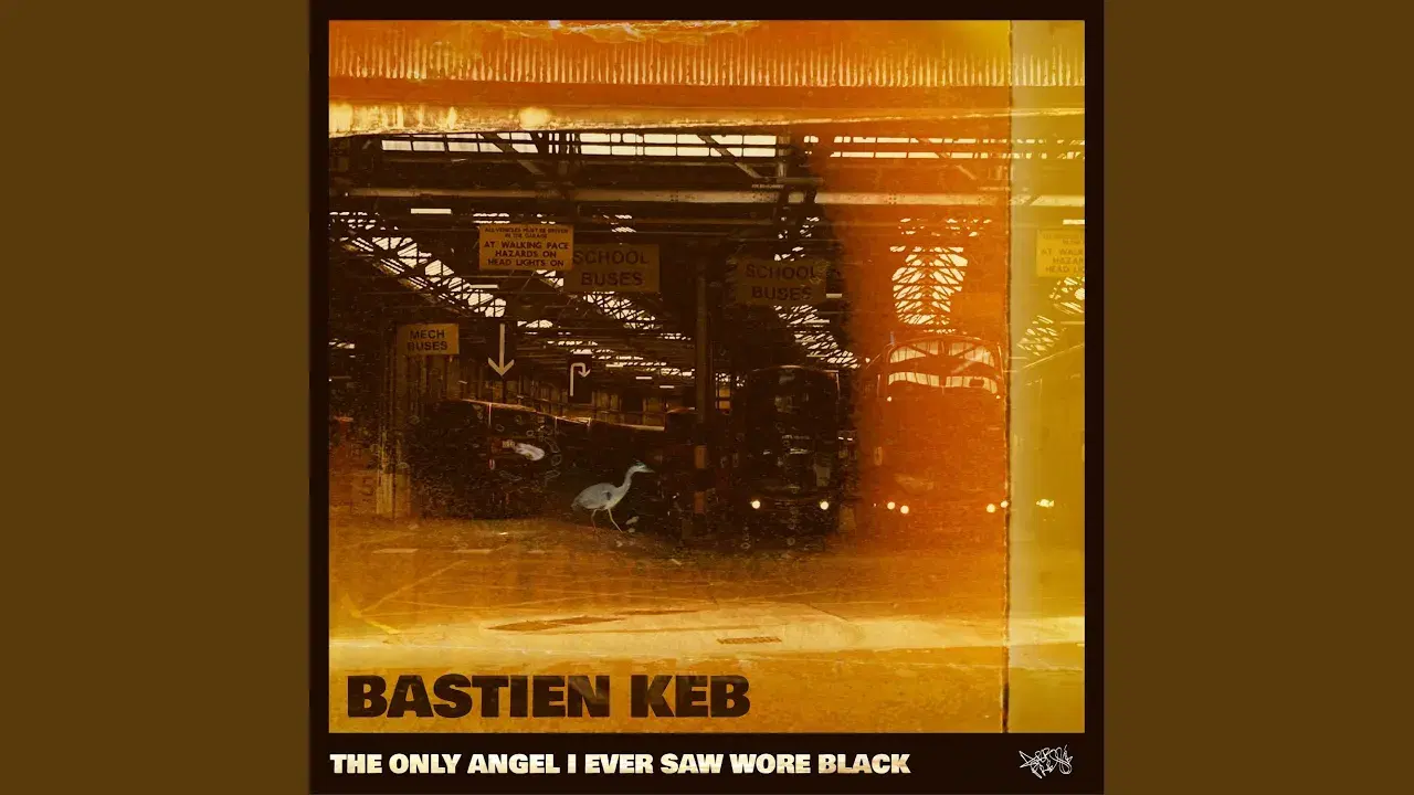 The Only Angel I Ever Saw Wore Black - Lost In The Sunflowers