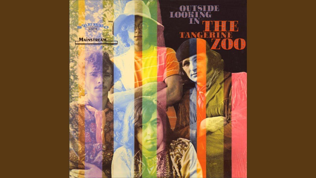 Outside Looking In - The Tangerine Zoo