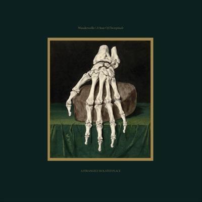 A State of Decrepitude - Wanderwelle