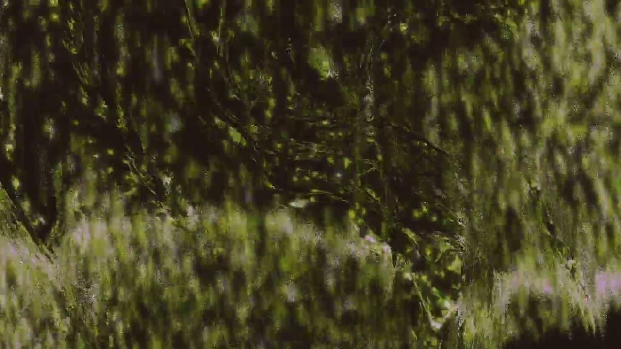 Memoria - Colombian Drone Mafia + Gibrana Cervantes