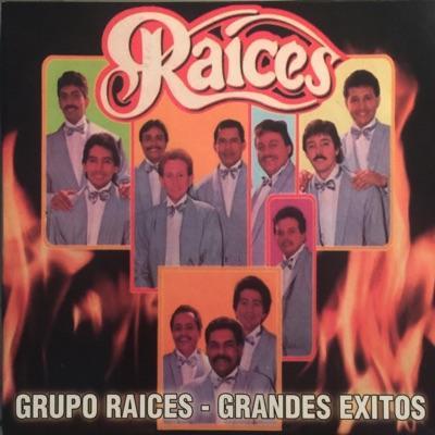  - Grupo Raices