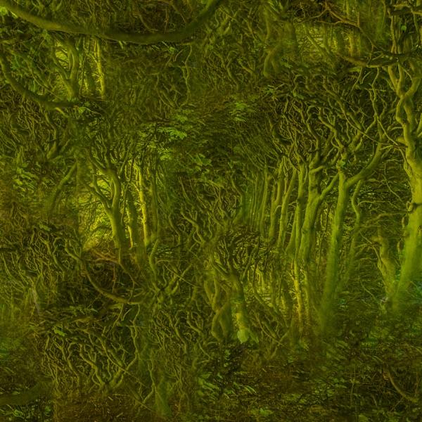 Klofink - Klofink