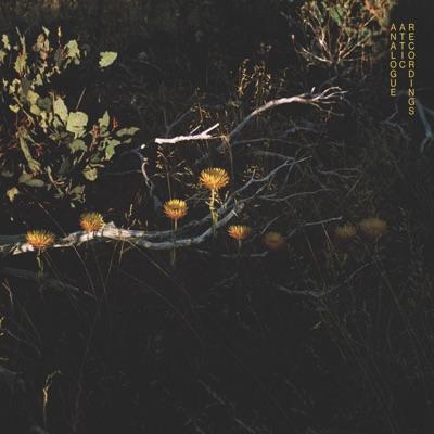 Out Moving Windows - Sean La'brooy