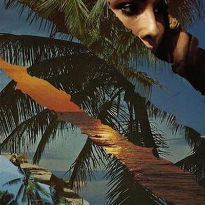 Vendetta In Paradise - Fluorescent Heights