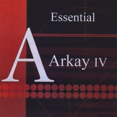  - The Arkay IV