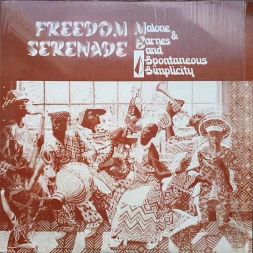 Freedom Serenade - Malone & Barnes and Spontaneous Simplicity
