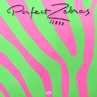 Zebra - Perfect Zebras