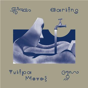 Tulipa Moves - Darling