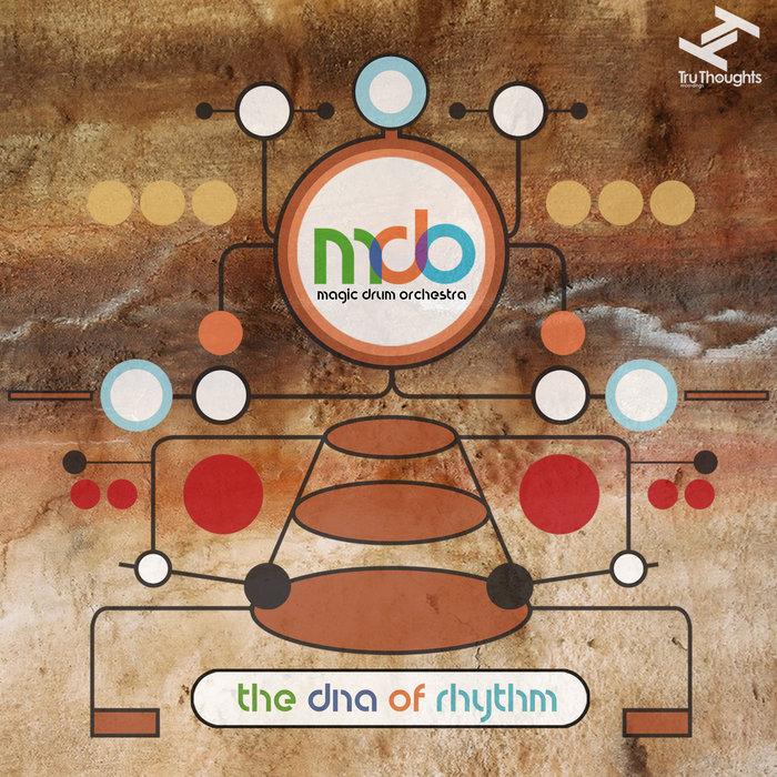 The DNA of Rhythm - Magic Drum Orchestra