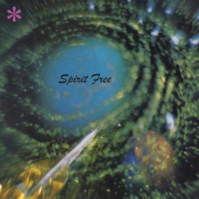 Plays Starship - Spirit Free