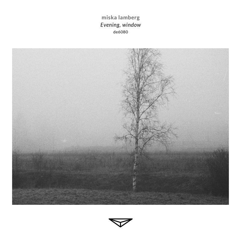 Evening, window - miska lamberg