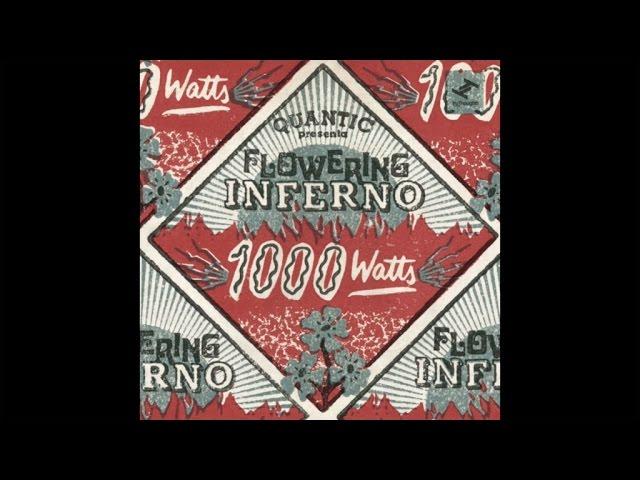  - Quantic Presenta Flowering Inferno