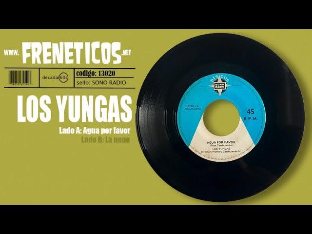 . - Los Yungas
