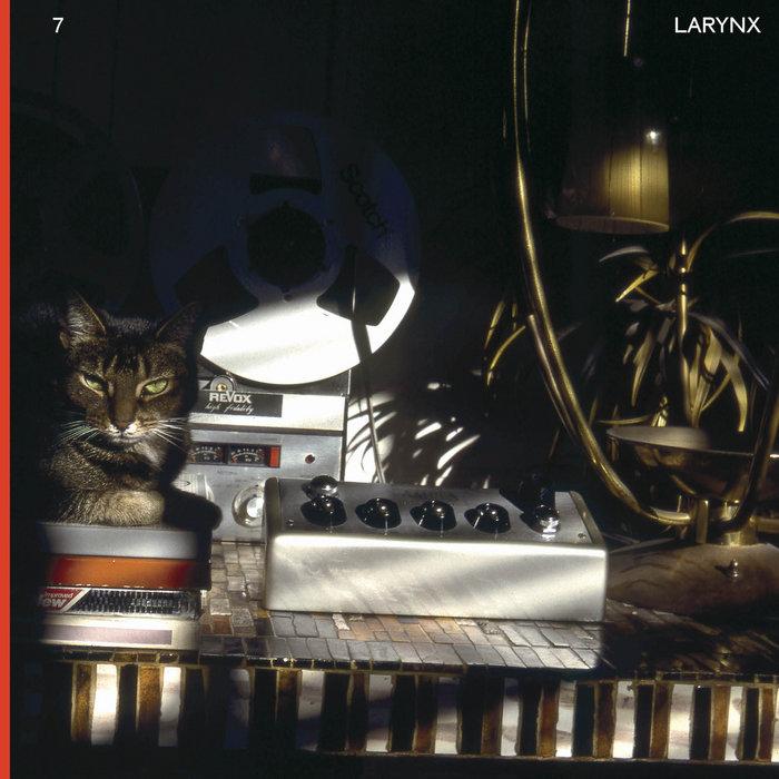 Larynx - Lary 7