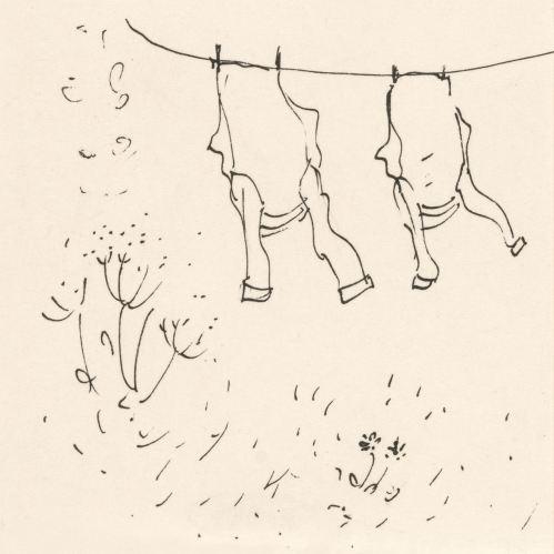 The Wind That Had Not Touched Land - Annie A
