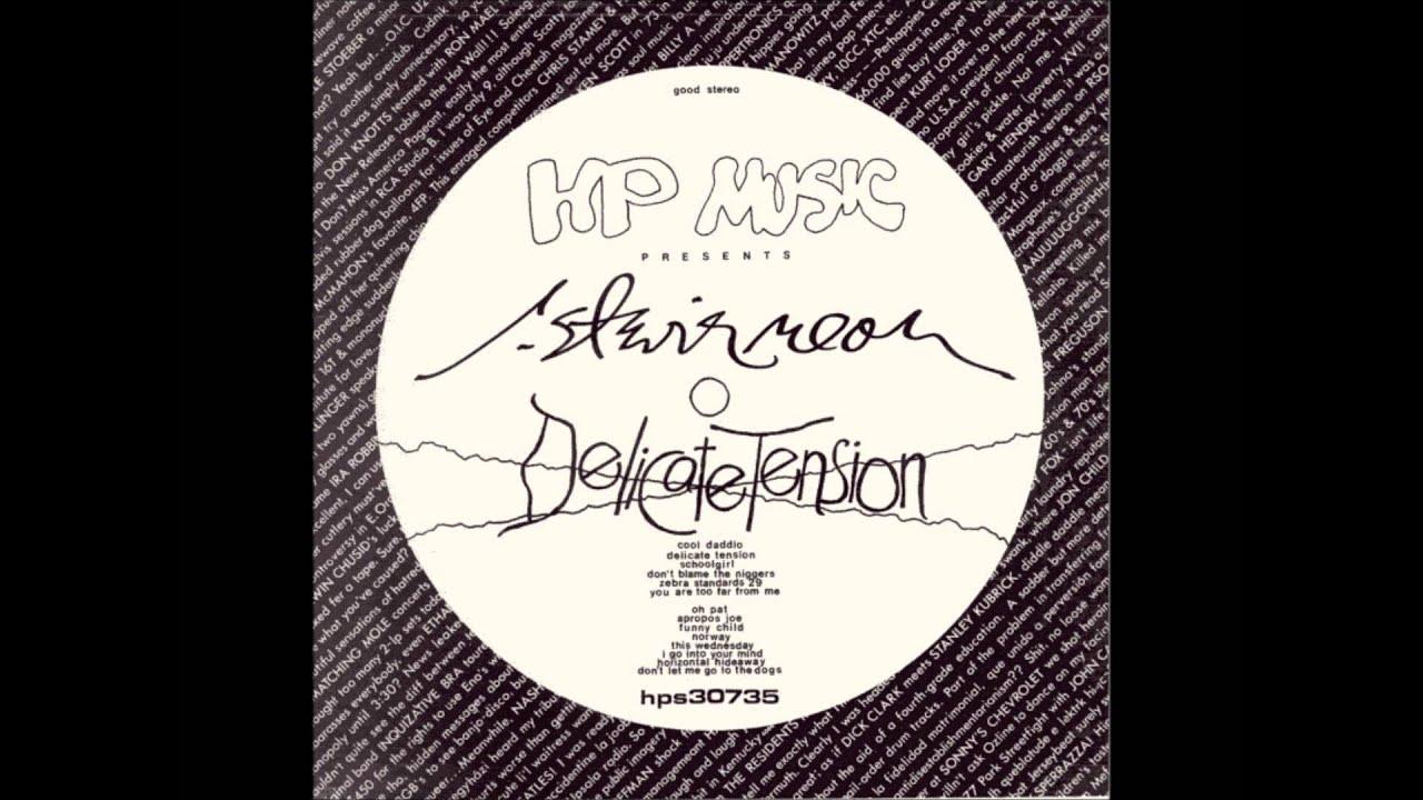 Delicate Tension - R. Stevie Moore
