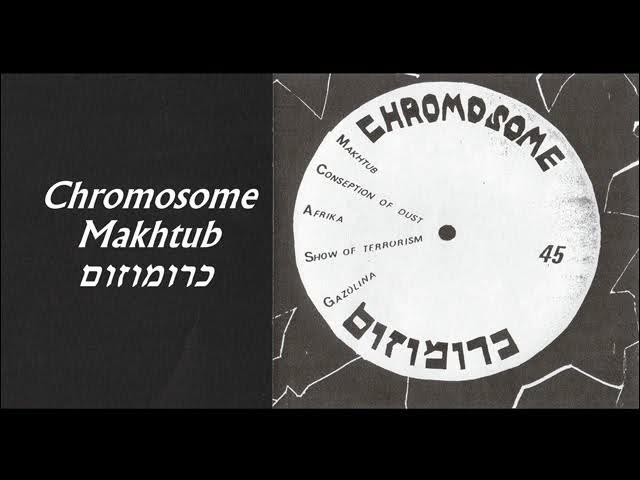 Chromosome - Chromosome